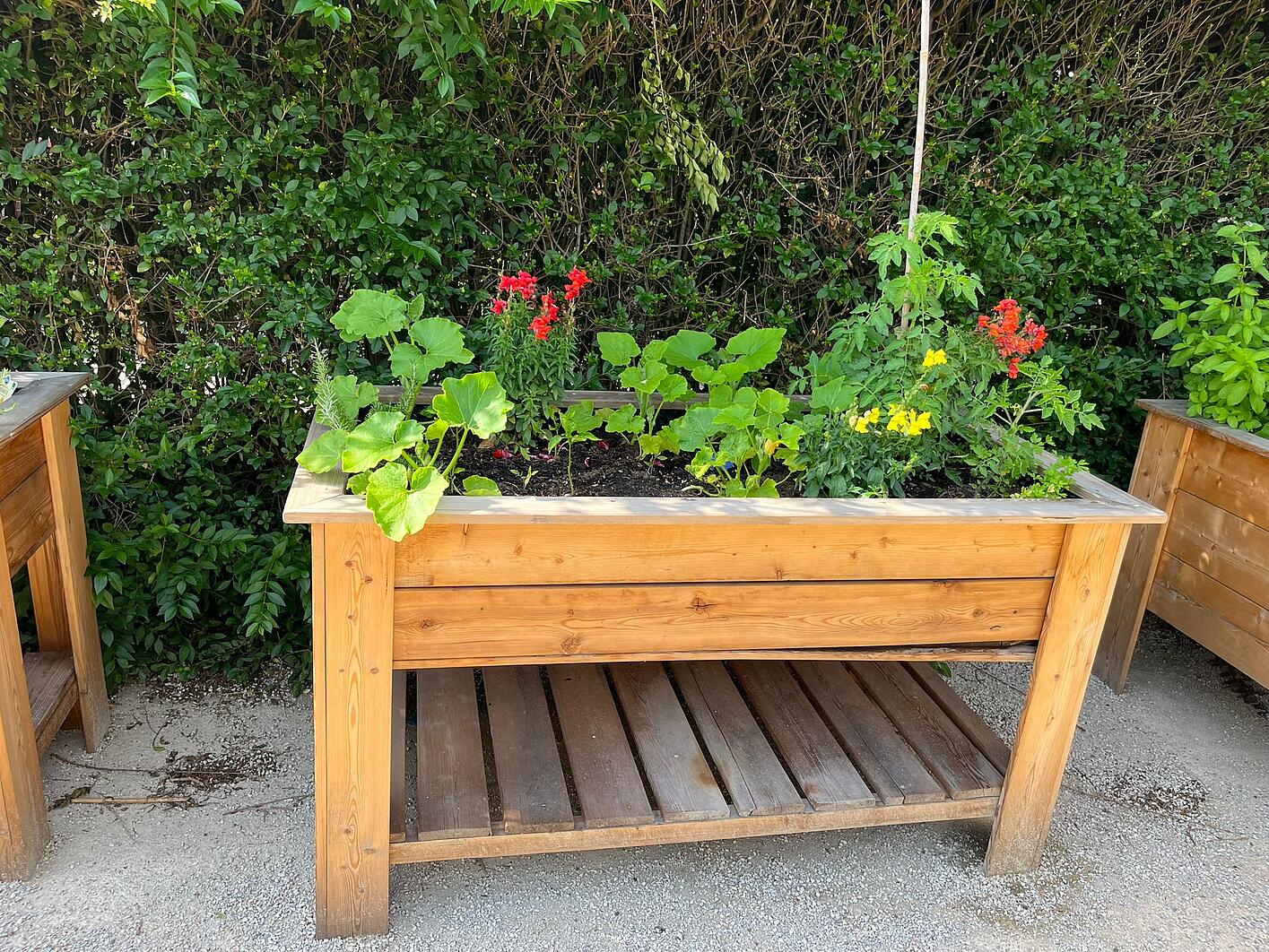 csm_Hochbeet_56f2486219.jpg